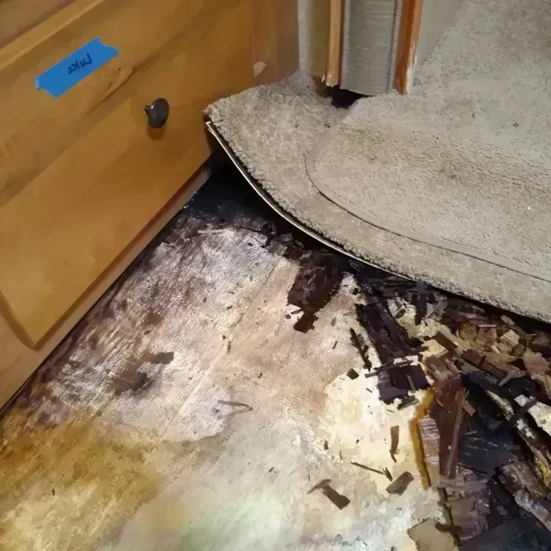 Best Wood Floor Water Damage Service in Marcus, IA